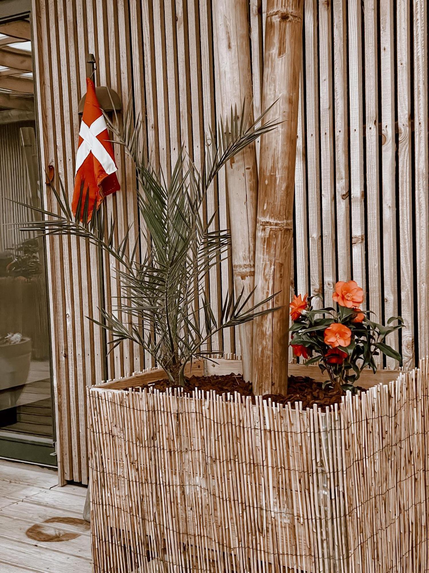 Guesthouse Klitmøller Zewnętrze zdjęcie